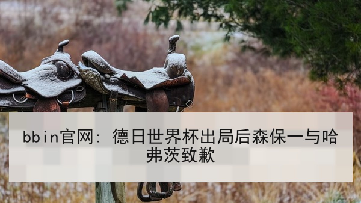bbin官网: 德日世界杯出局后森保一与哈弗茨致歉